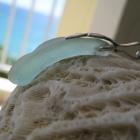 Image of Special beauty