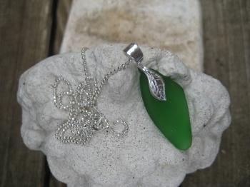 Image of Hot Chili Pepper