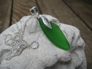 Image of Hot Chili Pepper