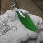 Image of Hot Chili Pepper