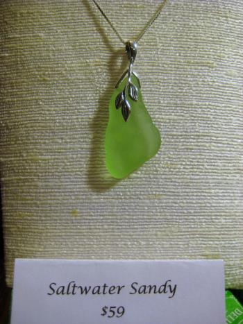 Image of Saltwater Sandy