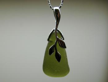 Image of Ripe Avocaco